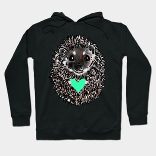 Cute Hedgehog holding a heart Hoodie